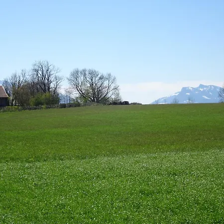 Haus Elbrächter 1